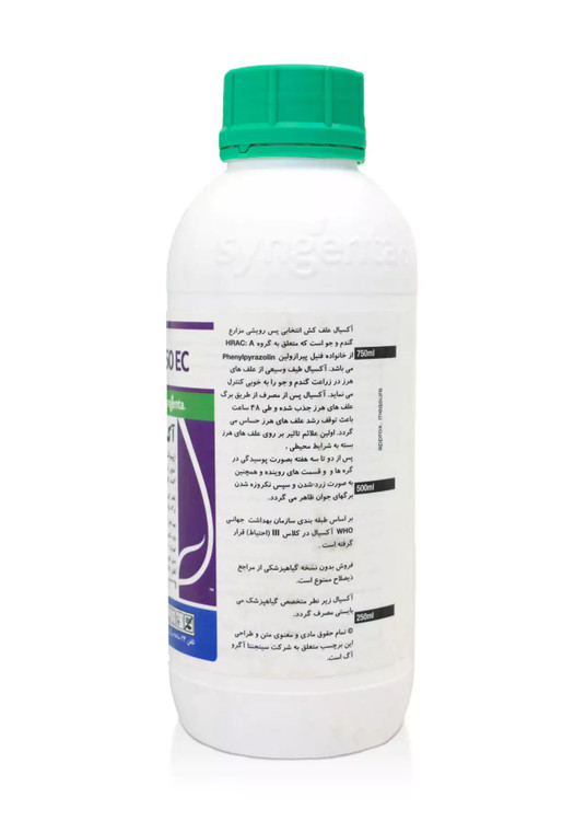 یولاف کش و ...