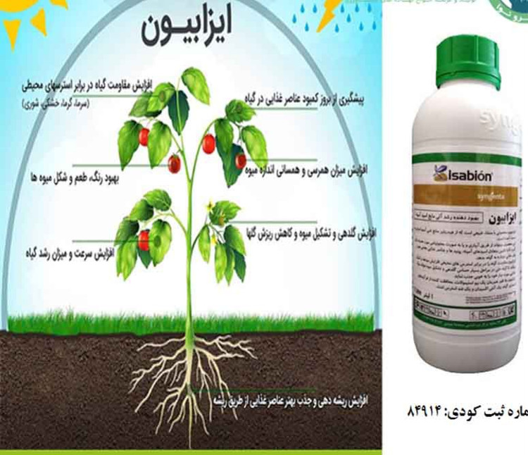 ایزابیون سینجنتا سوییس