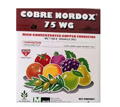 ۵۰ گرمی اورجینال نروژ(اسپانیا)