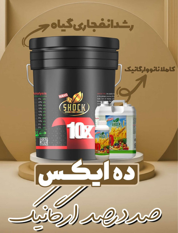 ده ایکس اورجینال وارداتی شوک