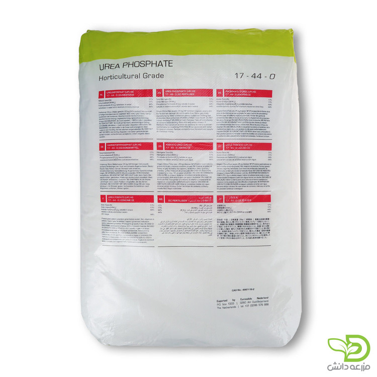 اورجینال Netherland