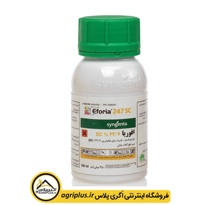 افوریا سوئیسی