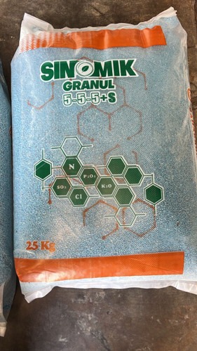 چالکود بهار رویش