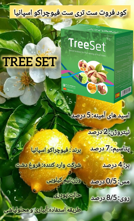 فیوچرکو اسپانیا