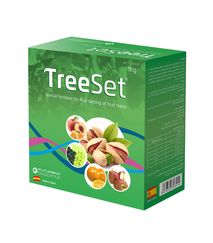 Tree Set