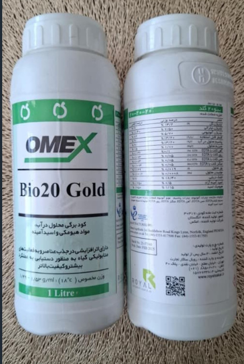 بیو 20 گلد امکس انگلستان