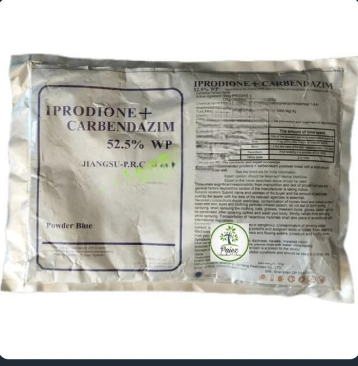 بی نظیرترین رورال تی اس بازار