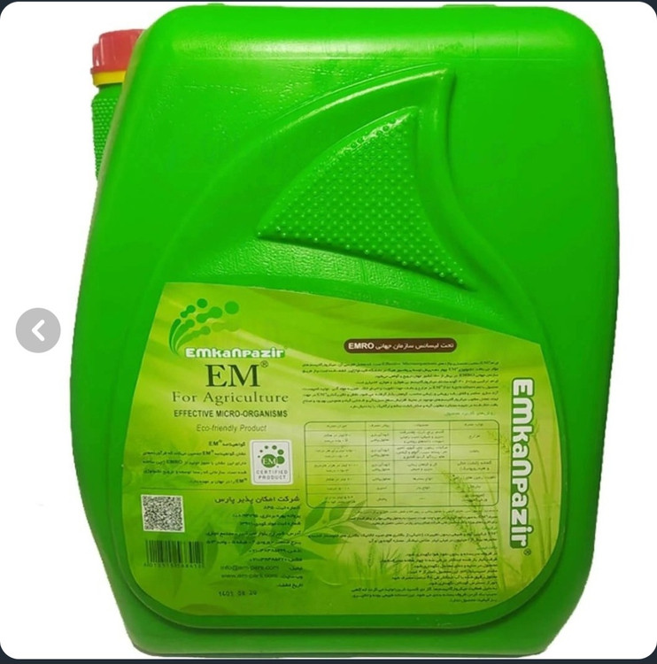 باکتری ای ام