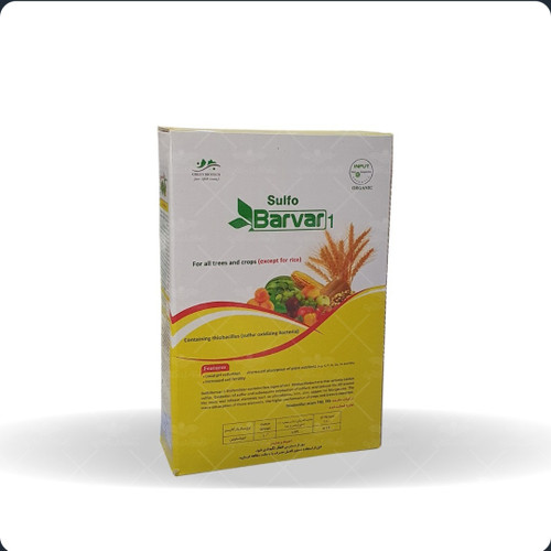 باکتری تیوباسیلس