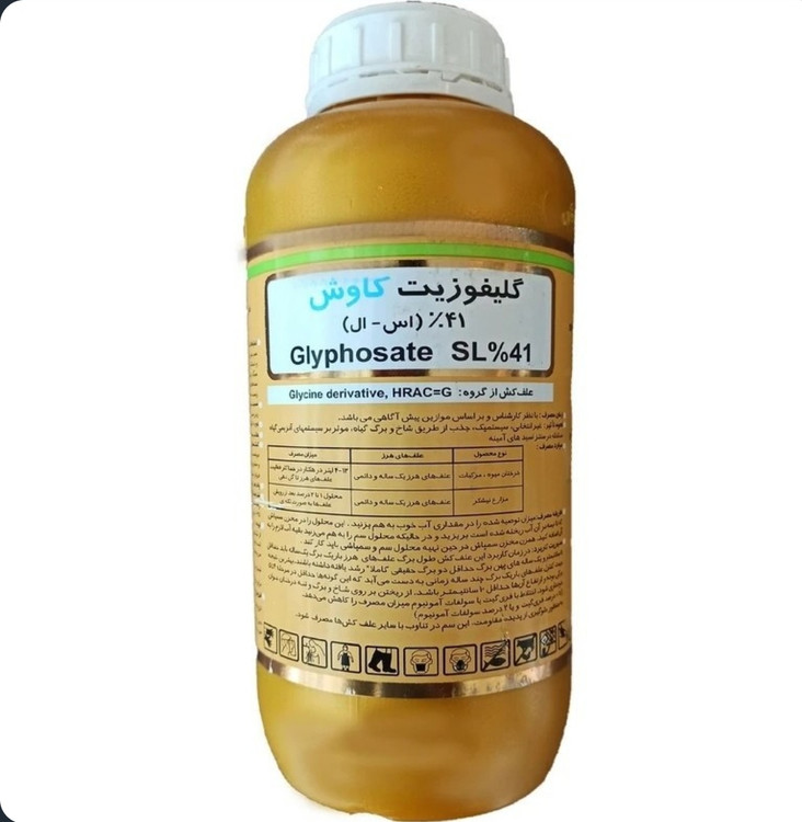 رانداپ طلایی کاوش