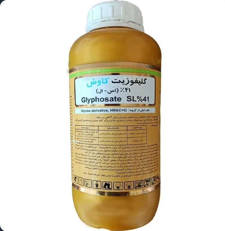 رانداپ طلایی کاوش
