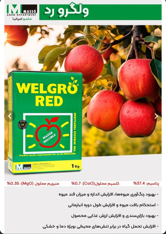 کود مخصوص درشتی و رنگ گیری