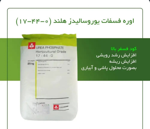 اوره فسفات یورو سالیدز هلند