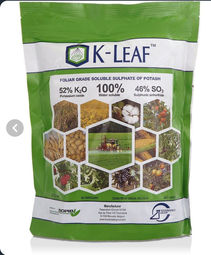 سولفات پتاسیم اصل بلژیک