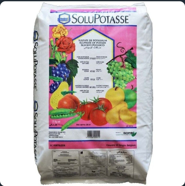 اولین سولوپتاس دنیا