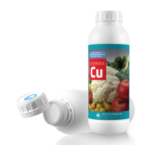 فسفیمکس مس اسپانیا