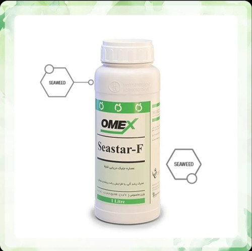 جلبک دریایی امکس انگلستان