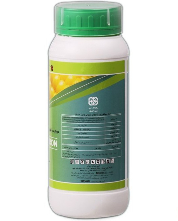 نازک برگ ذرت