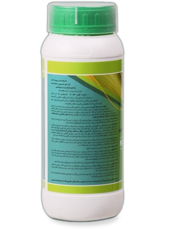 واردات رهپاک بین الملل