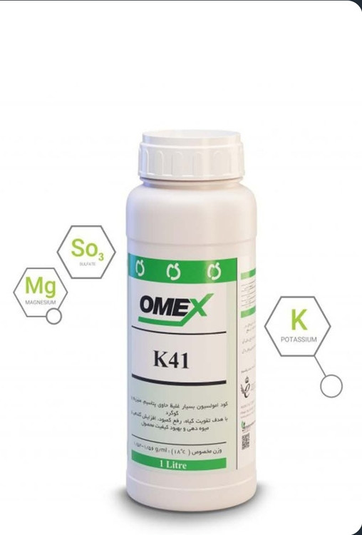 کا ۴۱ امکس انگلستان