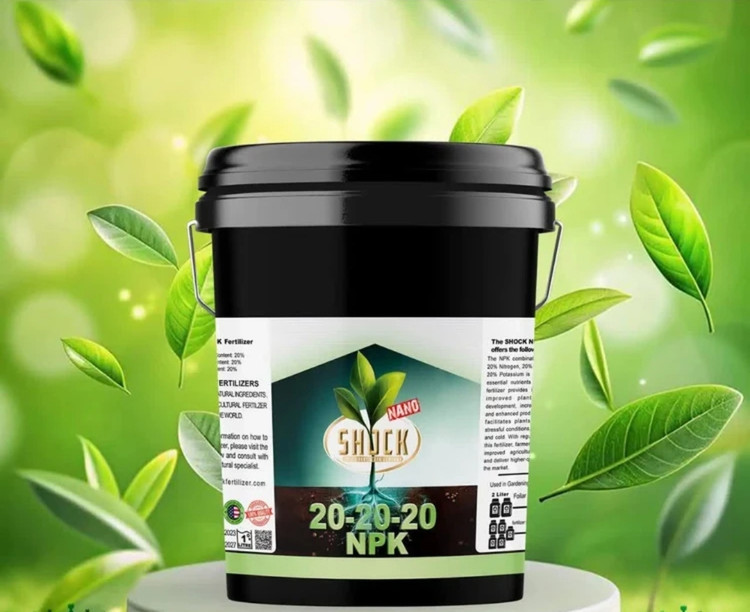 ۲۰ ۲۰ ۲۰ شوک اورجینال(ایالات متحده آمریکا)