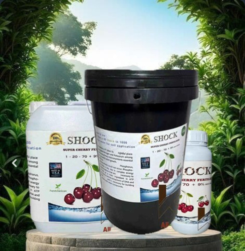 کود شوک اصل مخصوص گیلاس