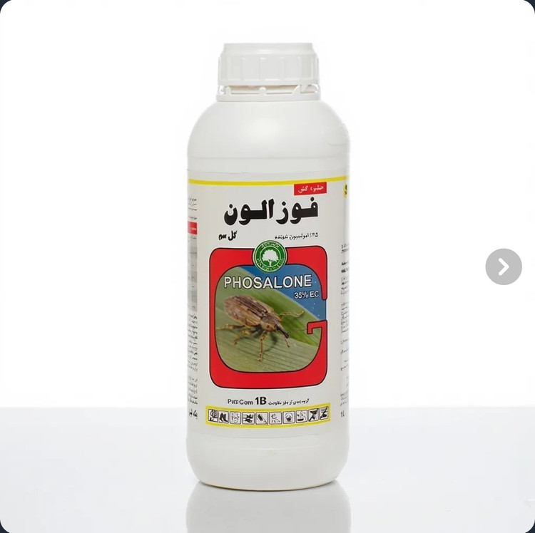 زولون