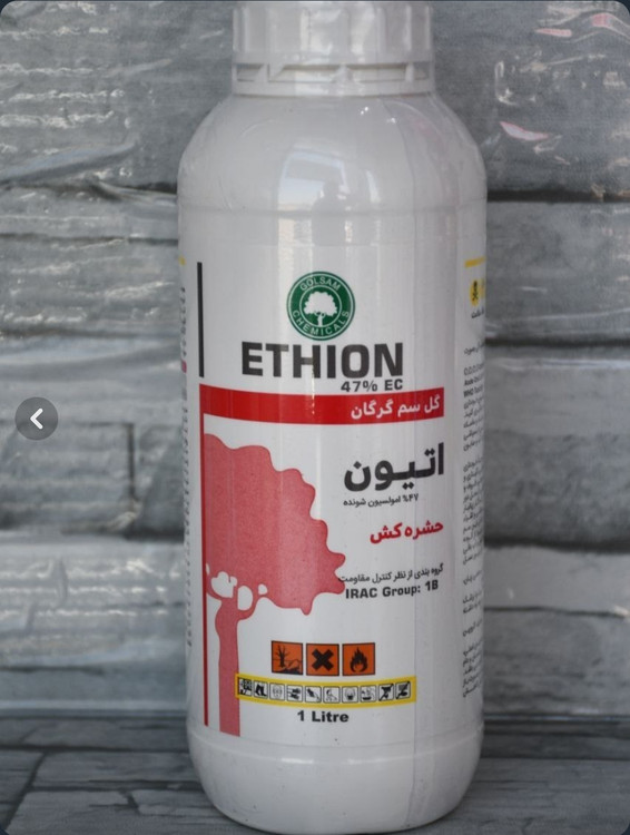 اتیون گلسم گرگان حجم یک لیتری