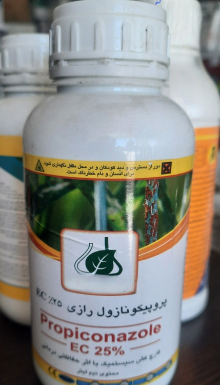 تیلت کیمیا سعادت ۵۰۰ سی سی