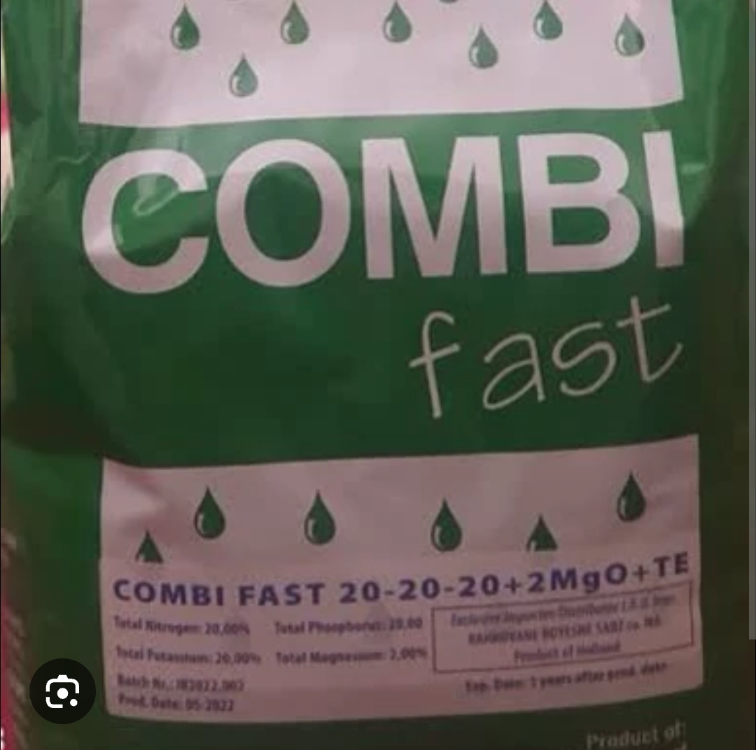 کمبی فست هورتیلند هلند