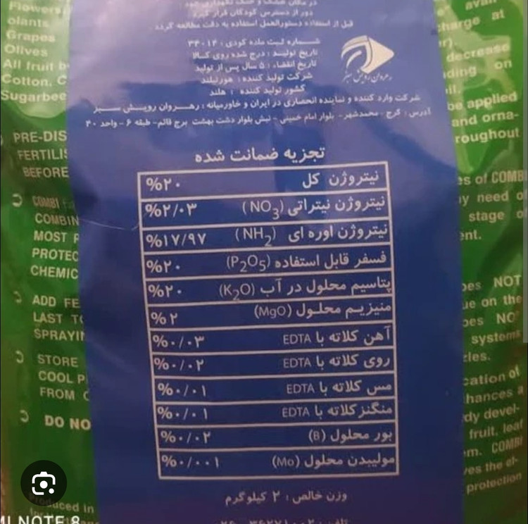اورجینال هلند