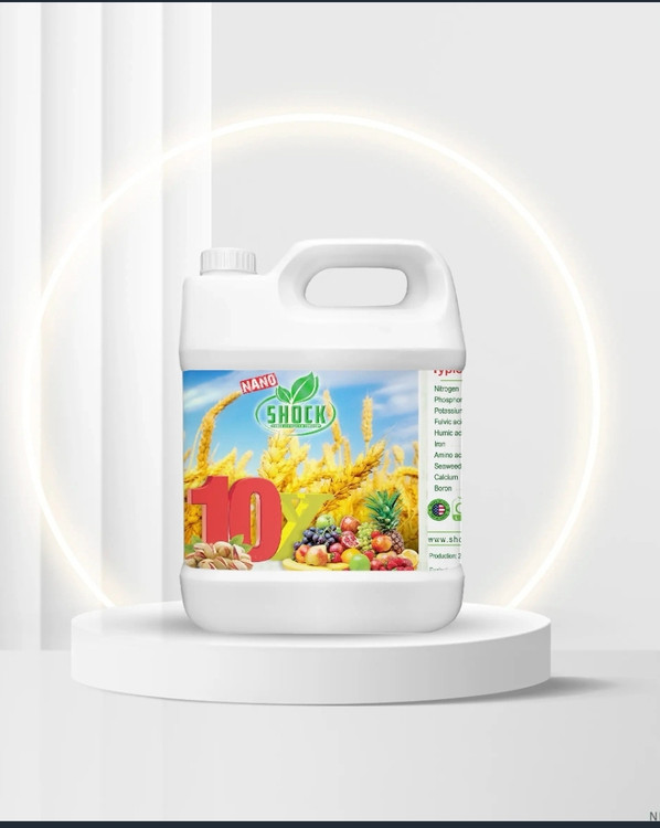 ۱۰ عنصر در کنار هم